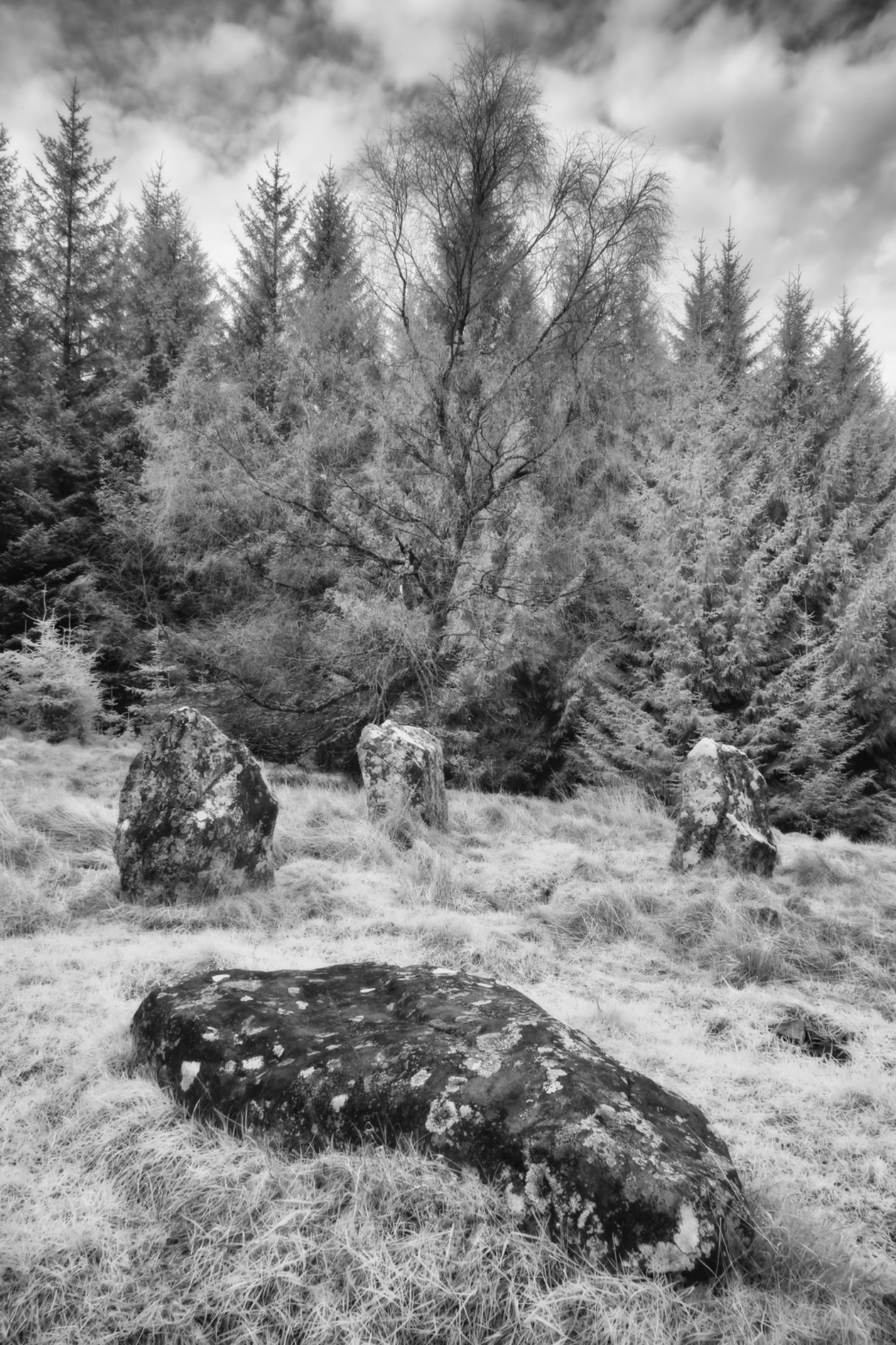 The Three Kings, Northumberland, England.